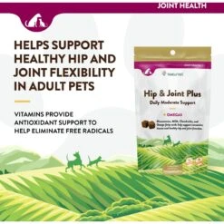 NaturVet Hip & Joint Plus Omegas Soft Chews Joint Supplement For Cats & Dogs 13 NaturVet Hip & Joint Plus Omegas Soft Chews Joint Supplement For Cats & Dogs -NaturVet 63805 PT2. AC SS1800 V1698696071