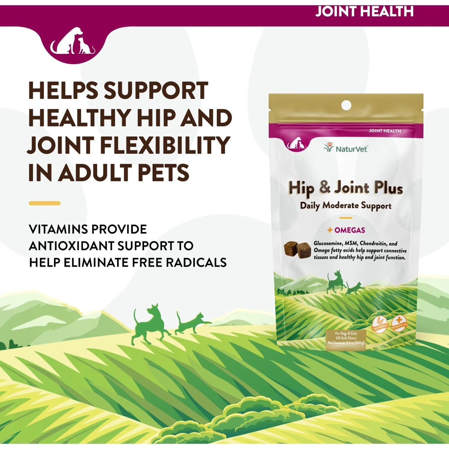 NaturVet Hip & Joint Plus Omegas Soft Chews Joint Supplement For Cats & Dogs 5 NaturVet Hip & Joint Plus Omegas Soft Chews Joint Supplement For Cats & Dogs - Image 3