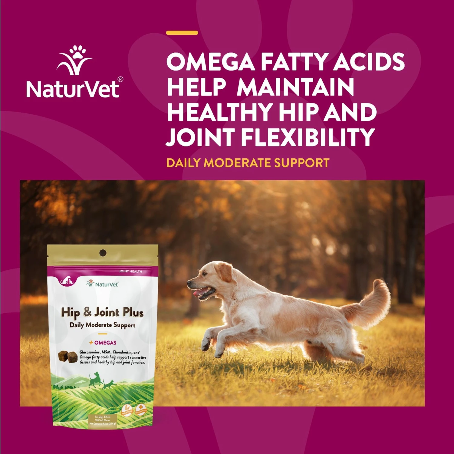 NaturVet Hip & Joint Plus Omegas Soft Chews Joint Supplement For Cats & Dogs 6 NaturVet Hip & Joint Plus Omegas Soft Chews Joint Supplement For Cats & Dogs - Image 4