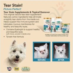 NaturVet Tear Stain Plus Lutein Soft Chews Vision Supplement For Cats & Dogs & Miracle Care Eye Clear Cleaning Pads For Dogs & Cats -NaturVet 646998 PT4. AC SS1800 V1664554795