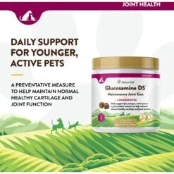 NaturVet Maintenance Care Glucosamine DS Soft Chews Joint Supplement For Dogs & Cats 12 NaturVet Maintenance Care Glucosamine DS Soft Chews Joint Supplement For Dogs & Cats -NaturVet 75575 PT2. AC SS1800 V1698695695
