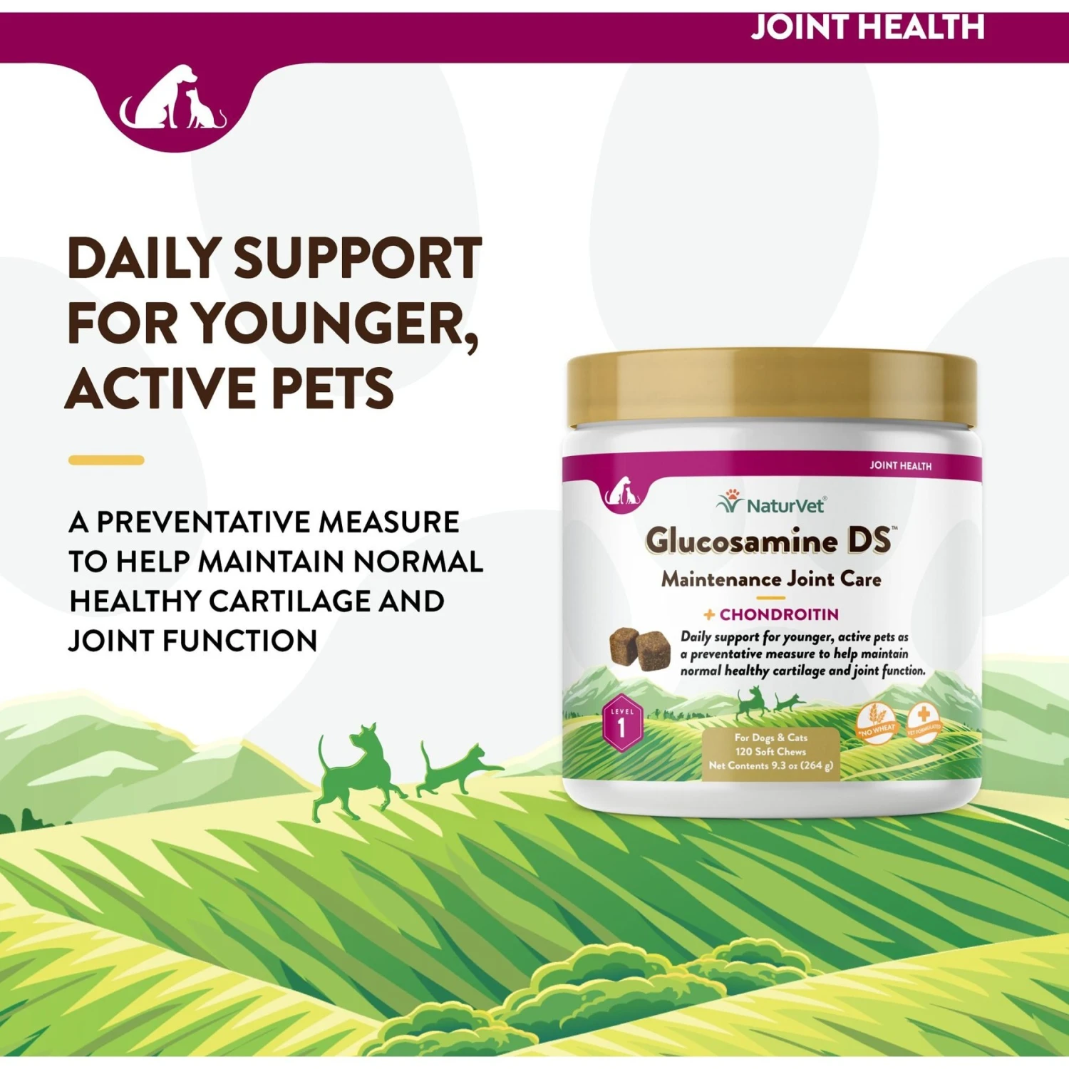 NaturVet Maintenance Care Glucosamine DS Soft Chews Joint Supplement For Dogs & Cats 5 NaturVet Maintenance Care Glucosamine DS Soft Chews Joint Supplement For Dogs & Cats - Image 3