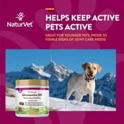 NaturVet Maintenance Care Glucosamine DS Soft Chews Joint Supplement For Dogs & Cats 13 NaturVet Maintenance Care Glucosamine DS Soft Chews Joint Supplement For Dogs & Cats -NaturVet 75575 PT3. AC SS1800 V1698695354