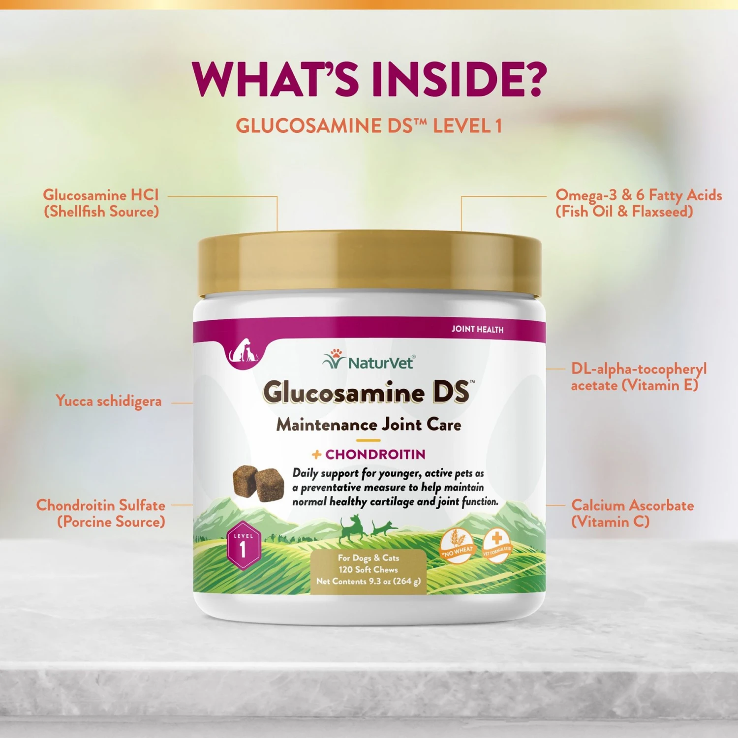 NaturVet Maintenance Care Glucosamine DS Soft Chews Joint Supplement For Dogs & Cats 7 NaturVet Maintenance Care Glucosamine DS Soft Chews Joint Supplement For Dogs & Cats - Image 5