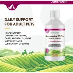 NaturVet Moderate Care Glucosamine DS Plus Liquid Joint Supplement For Cats & Dogs 12 NaturVet Moderate Care Glucosamine DS Plus Liquid Joint Supplement For Cats & Dogs -NaturVet 77870 PT2. AC SS1800 V1698696068
