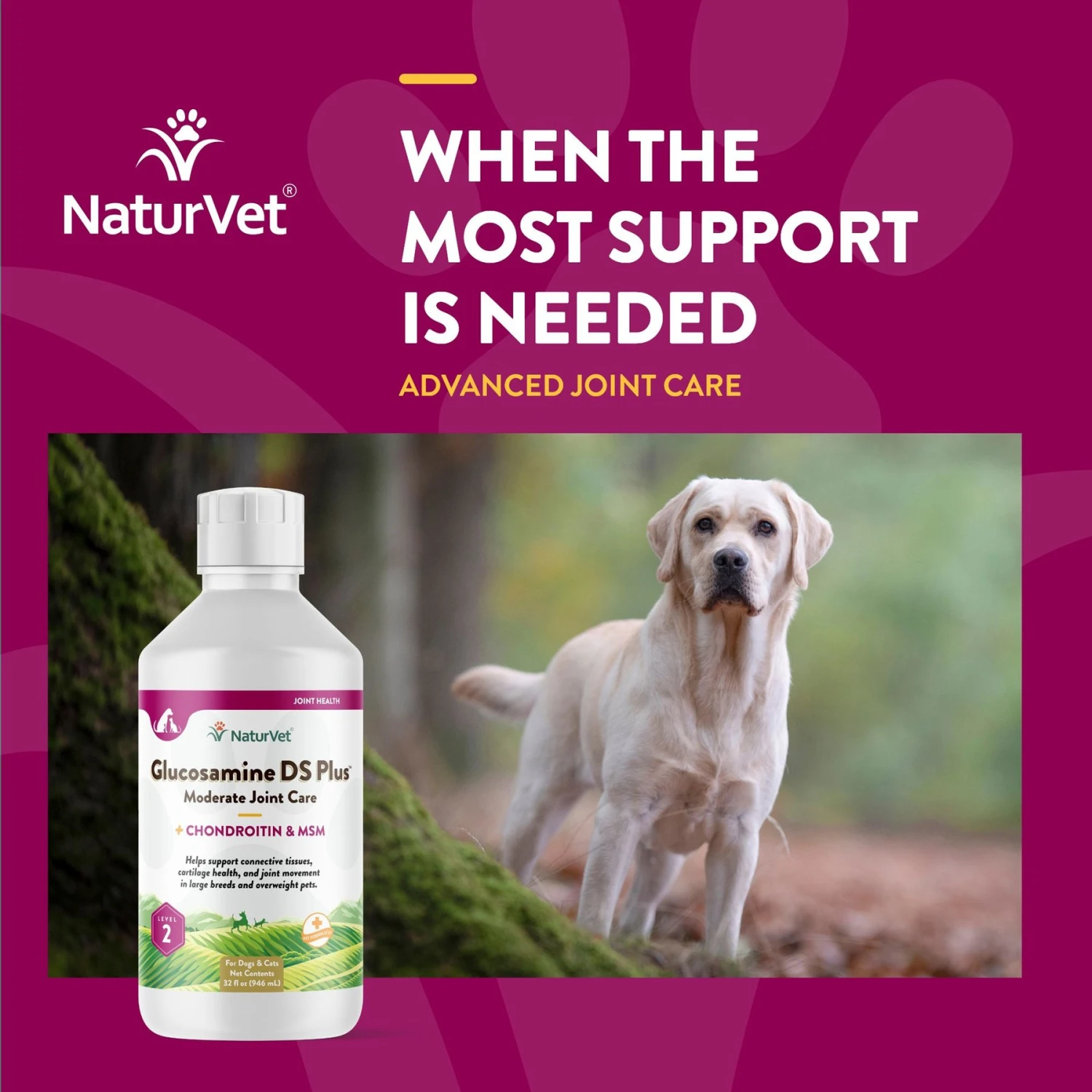 NaturVet Moderate Care Glucosamine DS Plus Liquid Joint Supplement For Cats & Dogs 6 NaturVet Moderate Care Glucosamine DS Plus Liquid Joint Supplement For Cats & Dogs - Image 4
