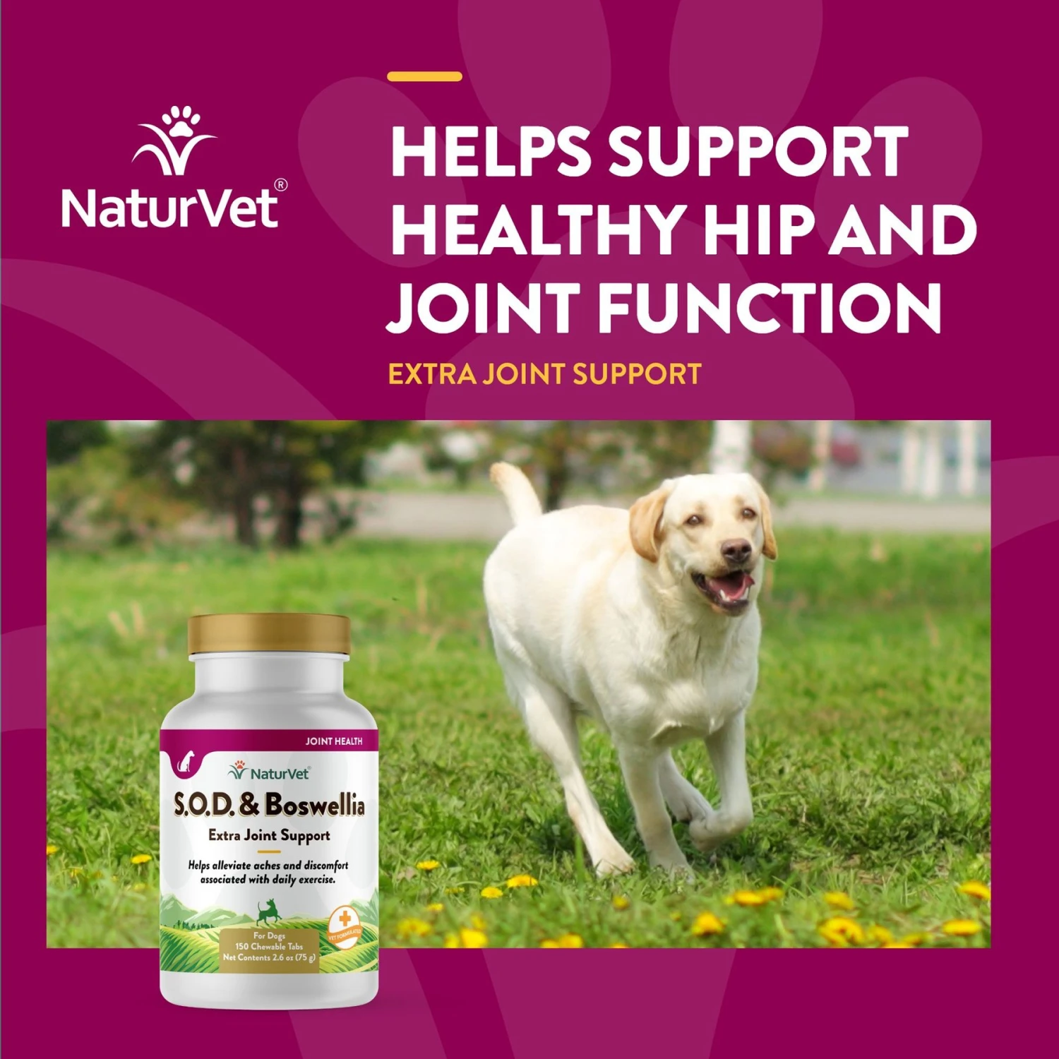 NaturVet S.O.D. Boswelia Chewable Tablets Joint Supplement For Dogs 5 NaturVet S.O.D. Boswelia Chewable Tablets Joint Supplement For Dogs - Image 4