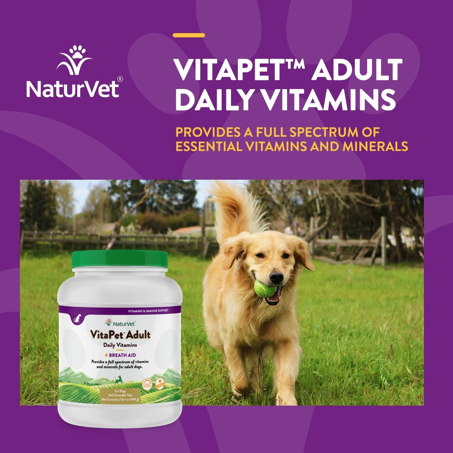NaturVet VitaPet Adult Plus Breath Aid Chewable Tablets Multivitamin For Dogs 6 NaturVet VitaPet Adult Plus Breath Aid Chewable Tablets Multivitamin For Dogs - Image 4