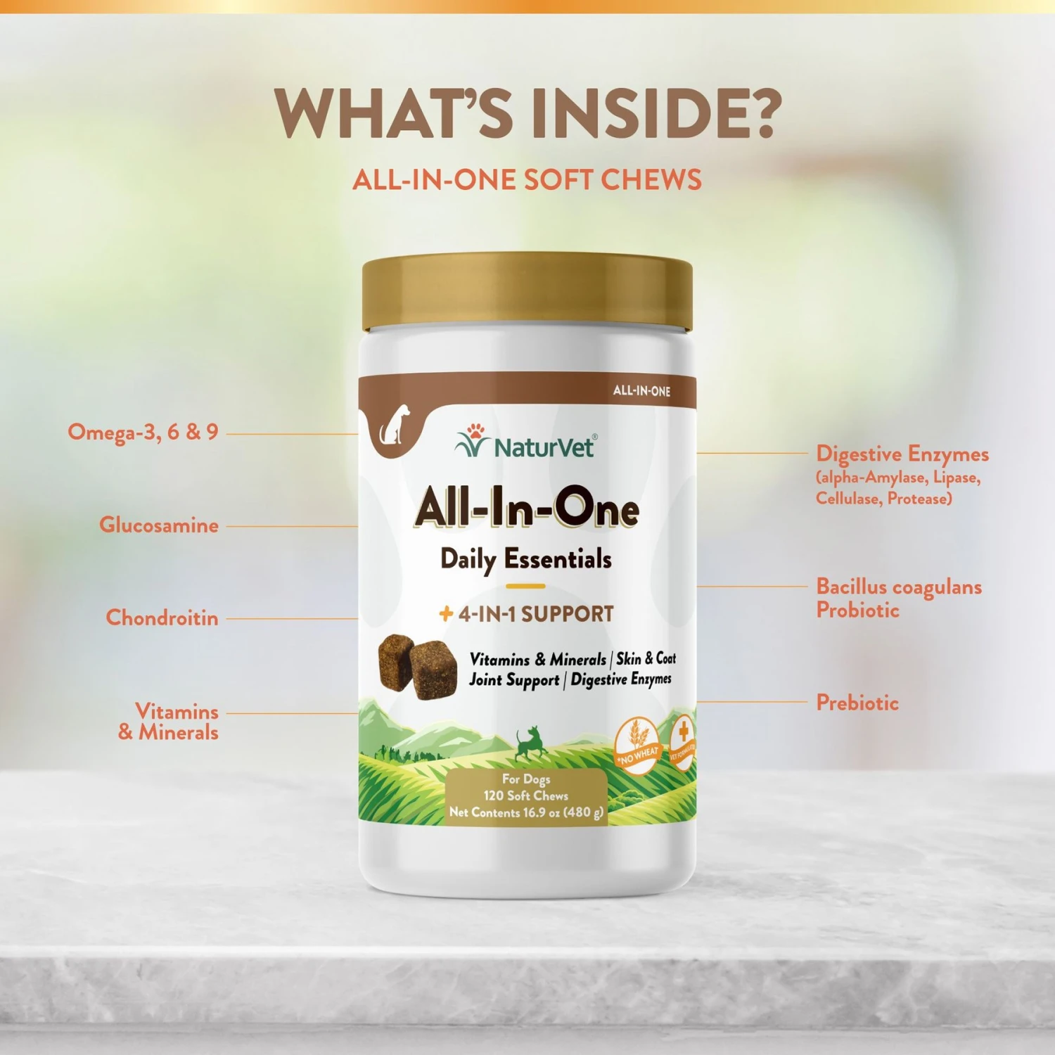 NaturVet All-in-One Soft Chews Multivitamin For Dogs 6 NaturVet All-in-One Soft Chews Multivitamin For Dogs - Image 4