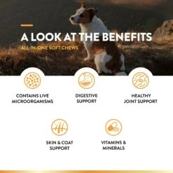 NaturVet All-in-One Soft Chews Multivitamin For Dogs 15 NaturVet All-in-One Soft Chews Multivitamin For Dogs -NaturVet 80366 PT4. AC SS1800 V1698695696