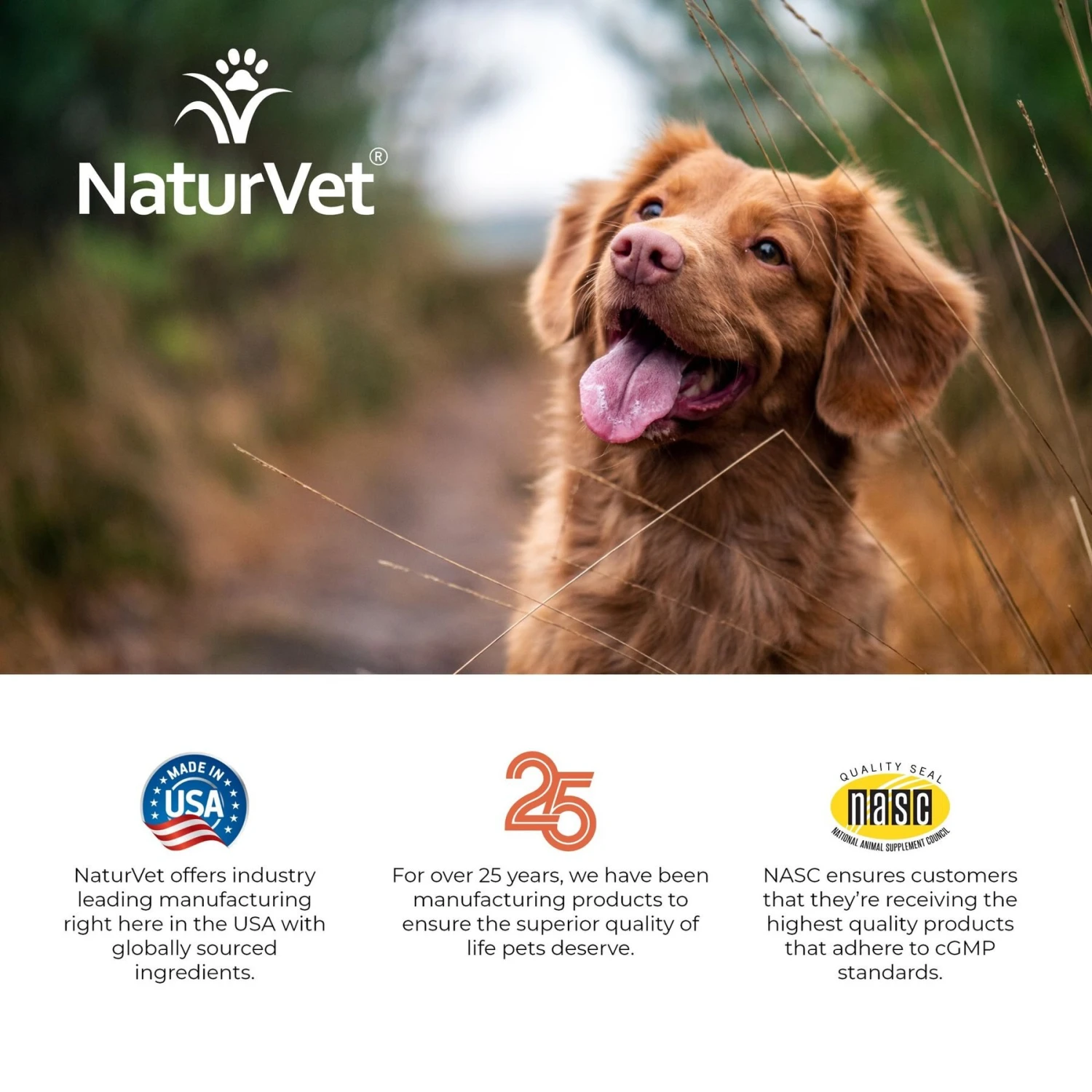 NaturVet All-in-One Soft Chews Multivitamin For Dogs 11 NaturVet All-in-One Soft Chews Multivitamin For Dogs - Image 9