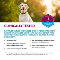 NaturVet Advanced Care ArthriSoothe-GOLD Soft Chews Joint Supplement For Cats & Dogs 13 NaturVet Advanced Care ArthriSoothe-GOLD Soft Chews Joint Supplement For Cats & Dogs -NaturVet 80368 PT3. AC SS1800 V1698695816