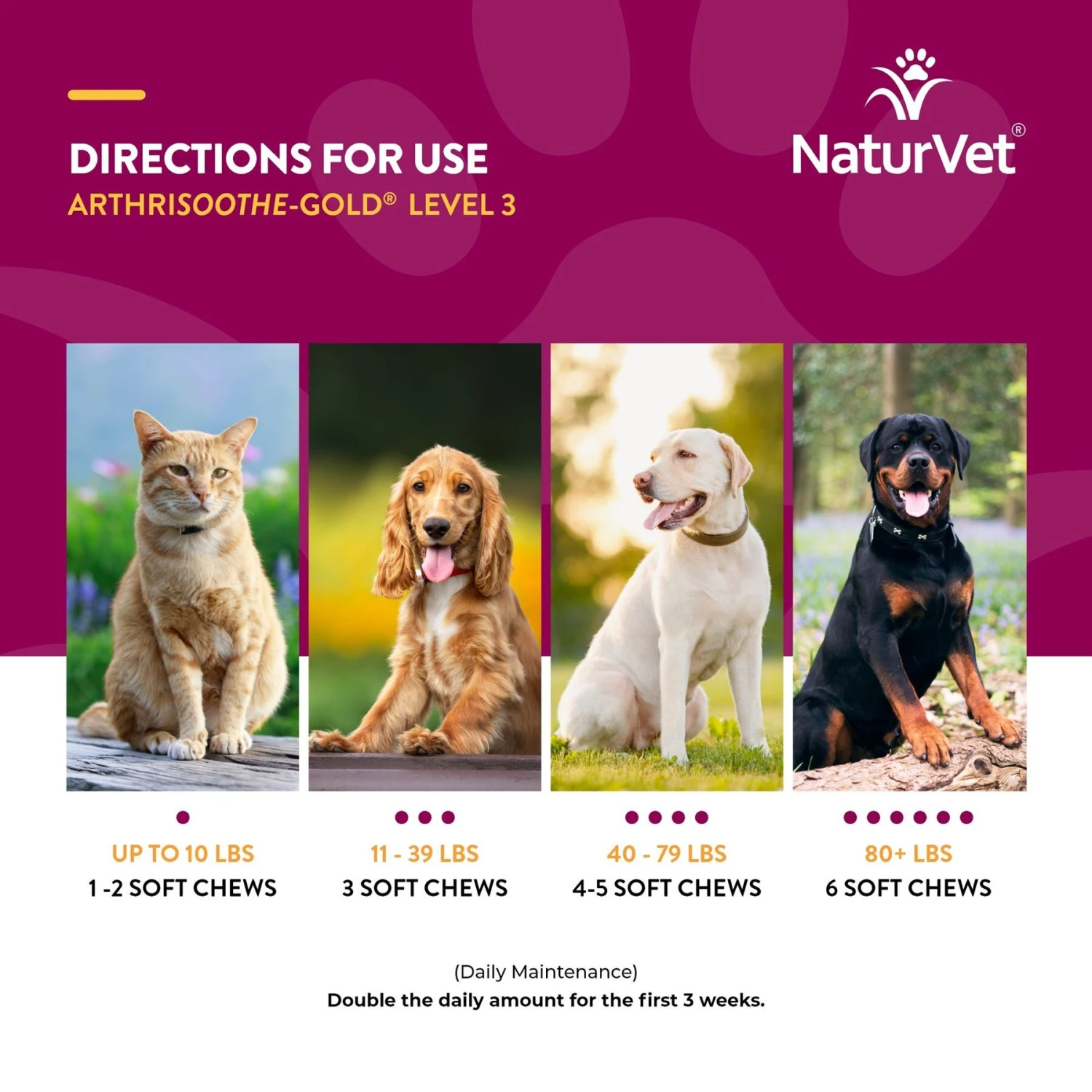 NaturVet Advanced Care ArthriSoothe-GOLD Soft Chews Joint Supplement For Cats & Dogs 9 NaturVet Advanced Care ArthriSoothe-GOLD Soft Chews Joint Supplement For Cats & Dogs - Image 7