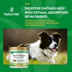 NaturVet Digestive Enzymes Plus Probiotic Soft Chews Digestive Supplement For Dogs -NaturVet 80375 PT3. AC SS1800 V1698695294
