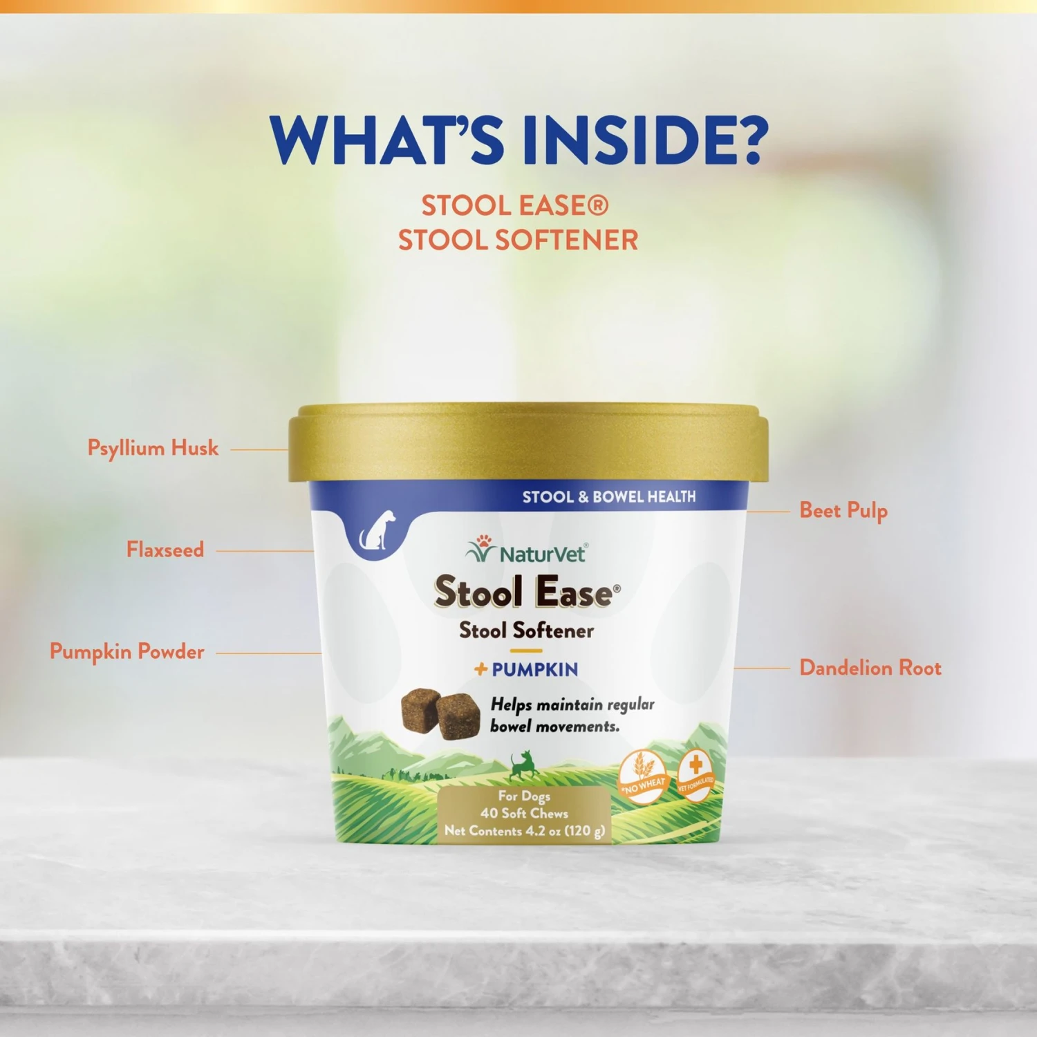 NaturVet Stool Ease Soft Chews Digestive Supplement For Dogs 7 NaturVet Stool Ease Soft Chews Digestive Supplement For Dogs - Image 5