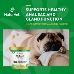 NaturVet No Scoot Plus Pumpkin Soft Chews Digestive Supplement For Dogs -NaturVet 80398 PT3. AC SS1800 V1698692782