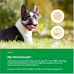 NaturVet Scoopables Advanced Probiotics & Enzymes Dog Digestive Supplement, 11-oz Bag -NaturVet 825038 PT6. AC SS1800 V1682004086