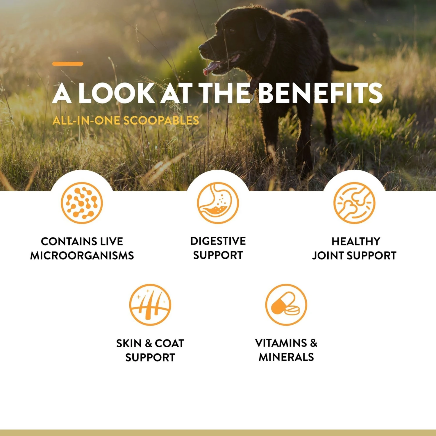 NaturVet Scoopables All-In-One 4-in-1 Support Dog Supplement, 11-oz Bag 9 NaturVet Scoopables All-In-One 4-in-1 Support Dog Supplement, 11-oz Bag - Image 7