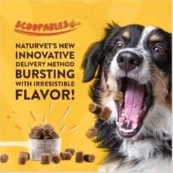 NaturVet Scoopables No Scoot Anal Gland Support Dog Supplement, 11-oz Bag 14 NaturVet Scoopables No Scoot Anal Gland Support Dog Supplement, 11-oz Bag -NaturVet 825166 PT3. AC SS1800 V1682004146