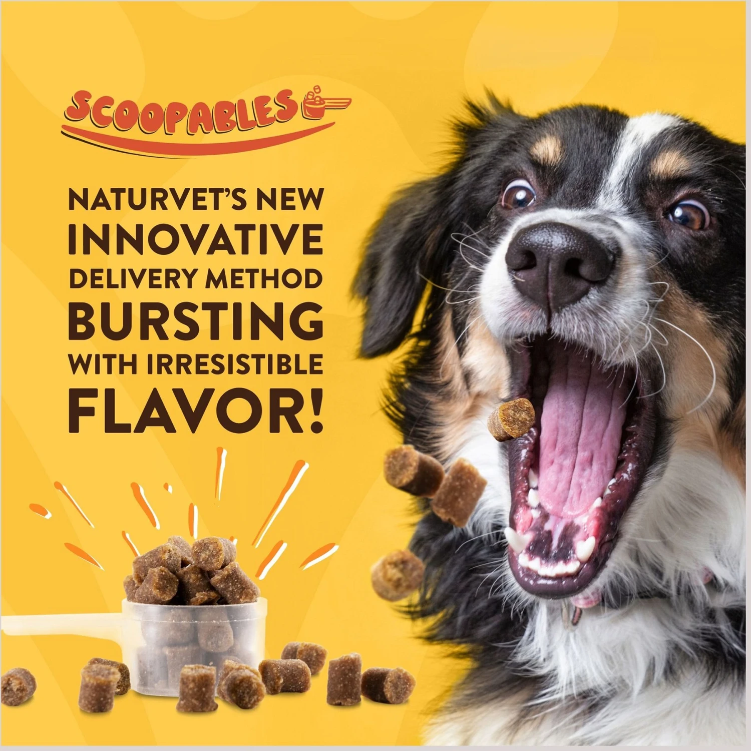 NaturVet Scoopables No Scoot Anal Gland Support Dog Supplement, 11-oz Bag 6 NaturVet Scoopables No Scoot Anal Gland Support Dog Supplement, 11-oz Bag - Image 4