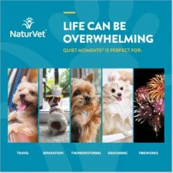 NaturVet Scoopables Quiet Moments Calming Aid Dog Supplement, 11-oz Bag 16 NaturVet Scoopables Quiet Moments Calming Aid Dog Supplement, 11-oz Bag -NaturVet 825214 PT5. AC SS1800 V1682004126