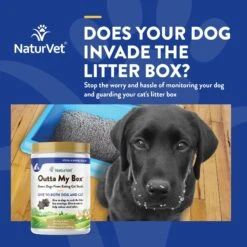 NaturVet Outta My Box Soft Chews Digestive Supplement For Cats & Dogs -NaturVet 93631 PT3. AC SS1800 V1698694965