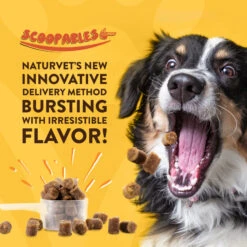 NaturVet Scoopables Advanced Probiotics & Enzymes 15 NaturVet Scoopables Advanced Probiotics & Enzymes -NaturVet AdvancedProbiotics EnzymesScoopablesforDogs2
