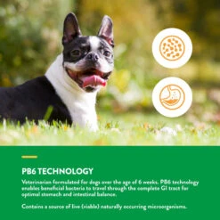 NaturVet Scoopables Advanced Probiotics & Enzymes 18 NaturVet Scoopables Advanced Probiotics & Enzymes -NaturVet AdvancedProbiotics EnzymesScoopablesforDogs5