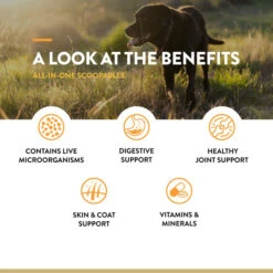 NaturVet Scoopables All-In-One Daily Essentials 12 NaturVet Scoopables All-In-One Daily Essentials -NaturVet All In OneScoopablesforDogs5