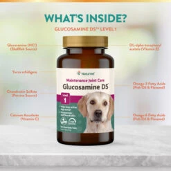 NaturVet Glucosamine DS™ Tabs -NaturVet GlucosamineDSLevel1150ct Tablet 3