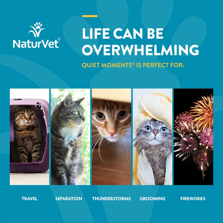 NaturVet Scoopables Quiet Moments® Calming Aid For Cats 4 NaturVet Scoopables Quiet Moments® Calming Aid For Cats - Image 2