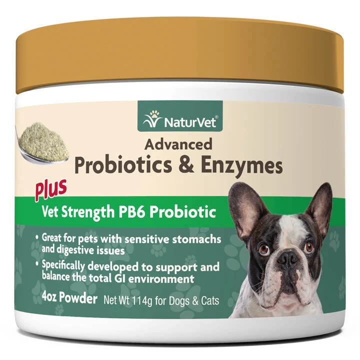 Naturvet Advanced Probiotic & Enzymes Powder Digestive Dog Supplements - 4 Oz Jar 3 Naturvet Advanced Probiotic & Enzymes Powder Digestive Dog Supplements - 4 Oz Jar