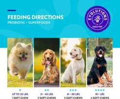 Naturvet Evolutions Probiotic + Superfoods Soft Chews Dog Supplements - 90 Count 13 Naturvet Evolutions Probiotic + Superfoods Soft Chews Dog Supplements - 90 Count -NaturVet naturvet evolutions probiotic superfoods soft chews dog supplements 90 count 239161