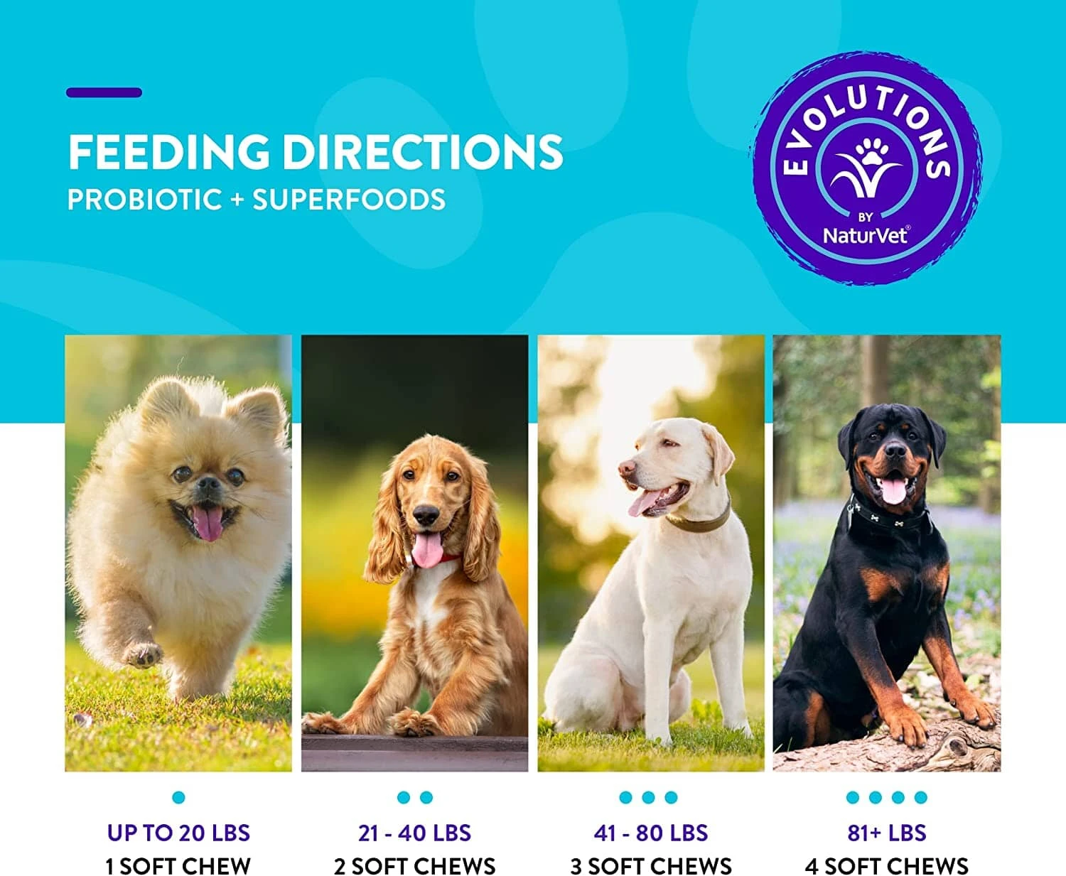 Naturvet Evolutions Probiotic + Superfoods Soft Chews Dog Supplements - 90 Count 7 Naturvet Evolutions Probiotic + Superfoods Soft Chews Dog Supplements - 90 Count - Image 5